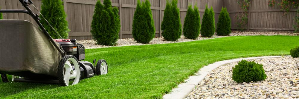 Entretien jardin près de Les Mathes