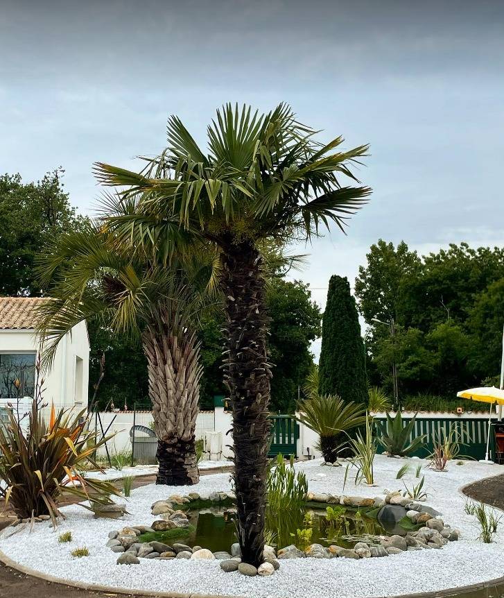 amenagement-exterieur2