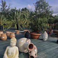 Jardinerie (23)
