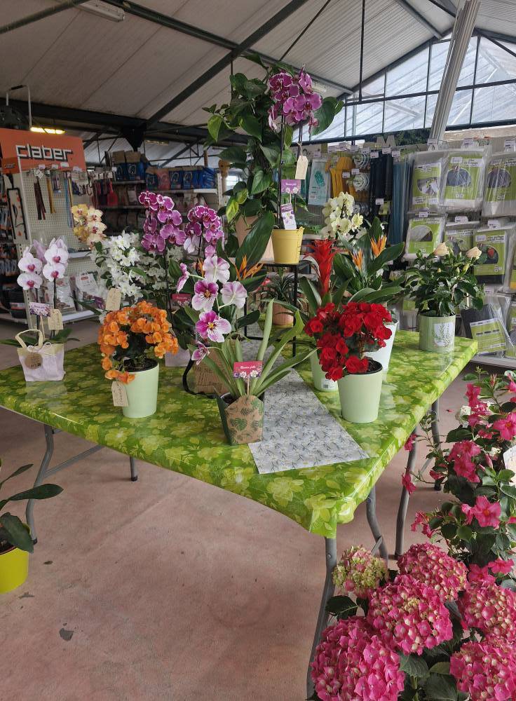 Jardinerie (2)