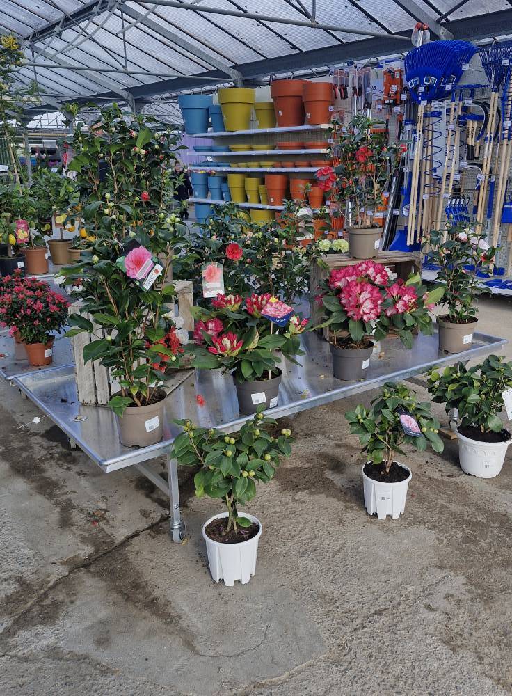 Jardinerie (15)
